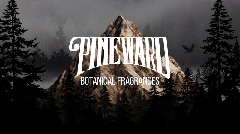 Mountain and pine forest with 'Pineward Botanical Fragrances' text overlay, nature-inspired design