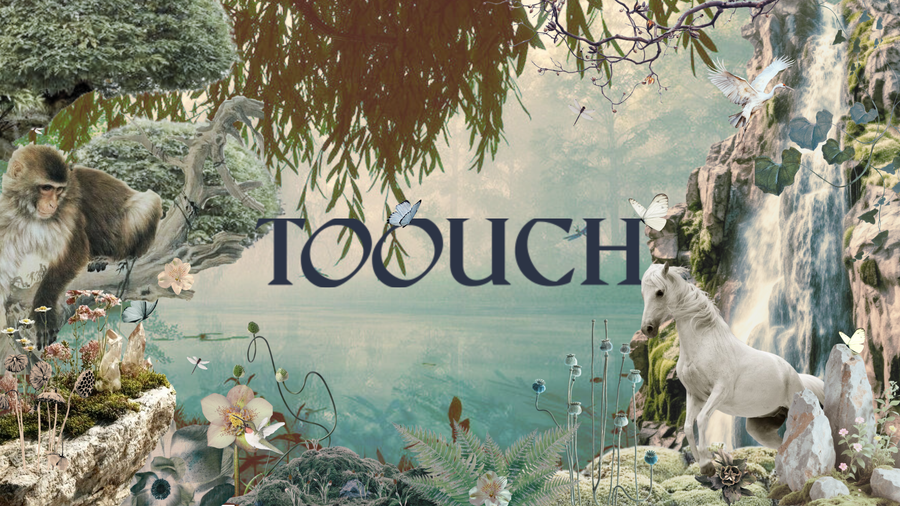 Surreal nature scene with monkey, white horse, flowers, butterflies, and waterfall, 'TOOUCH' text