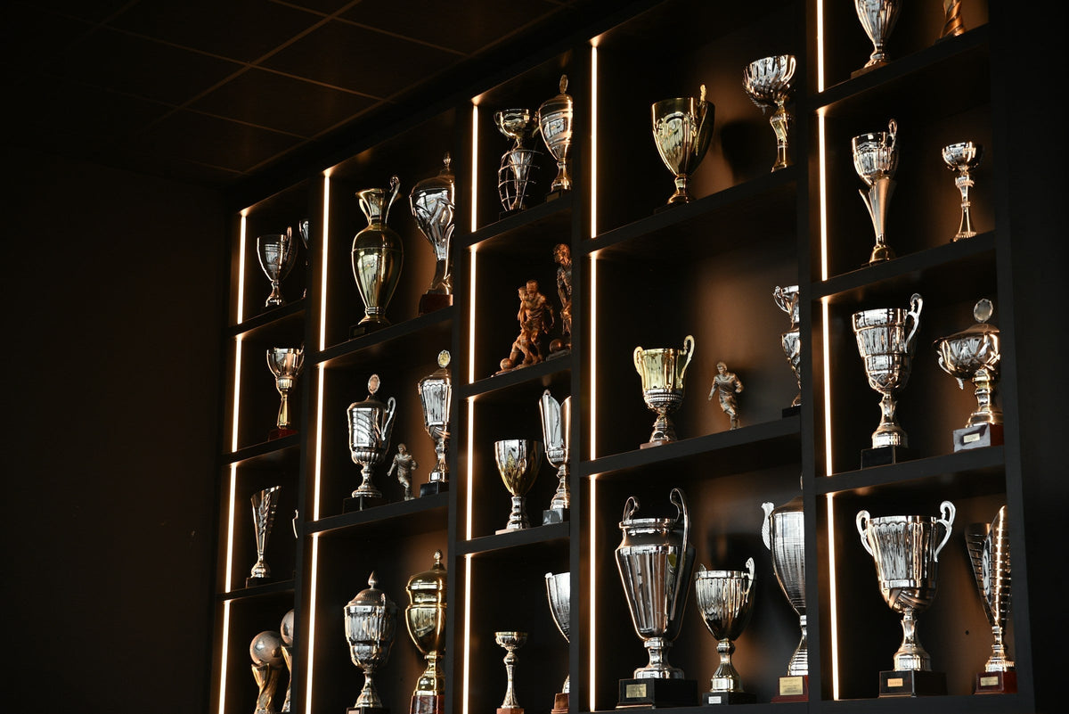 Trophies on lit shelves