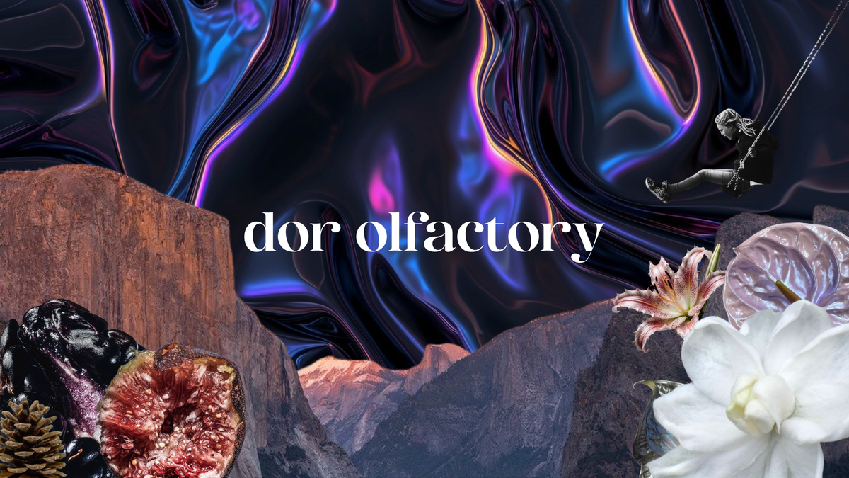 Dor Olfactory