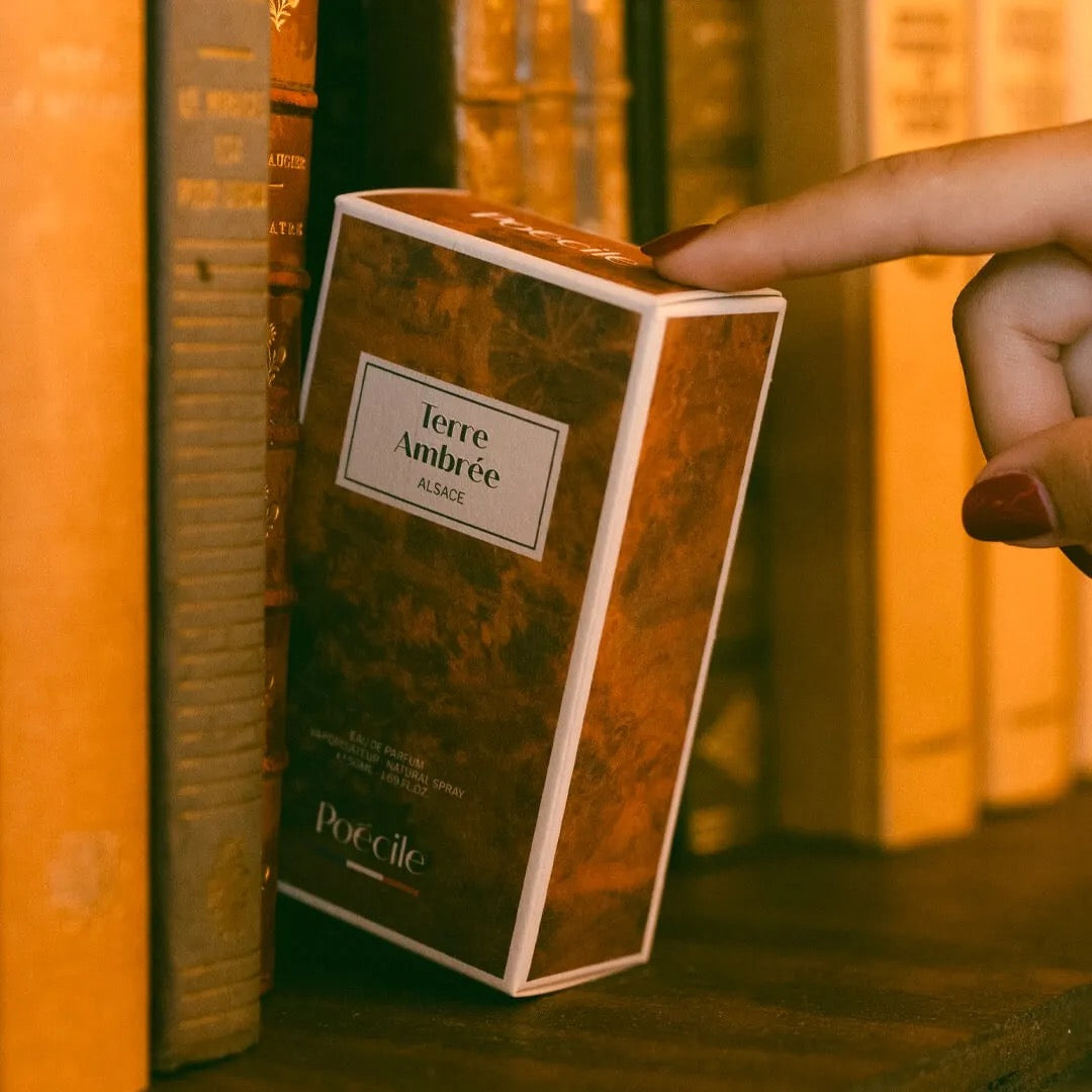 Terre Ambrée