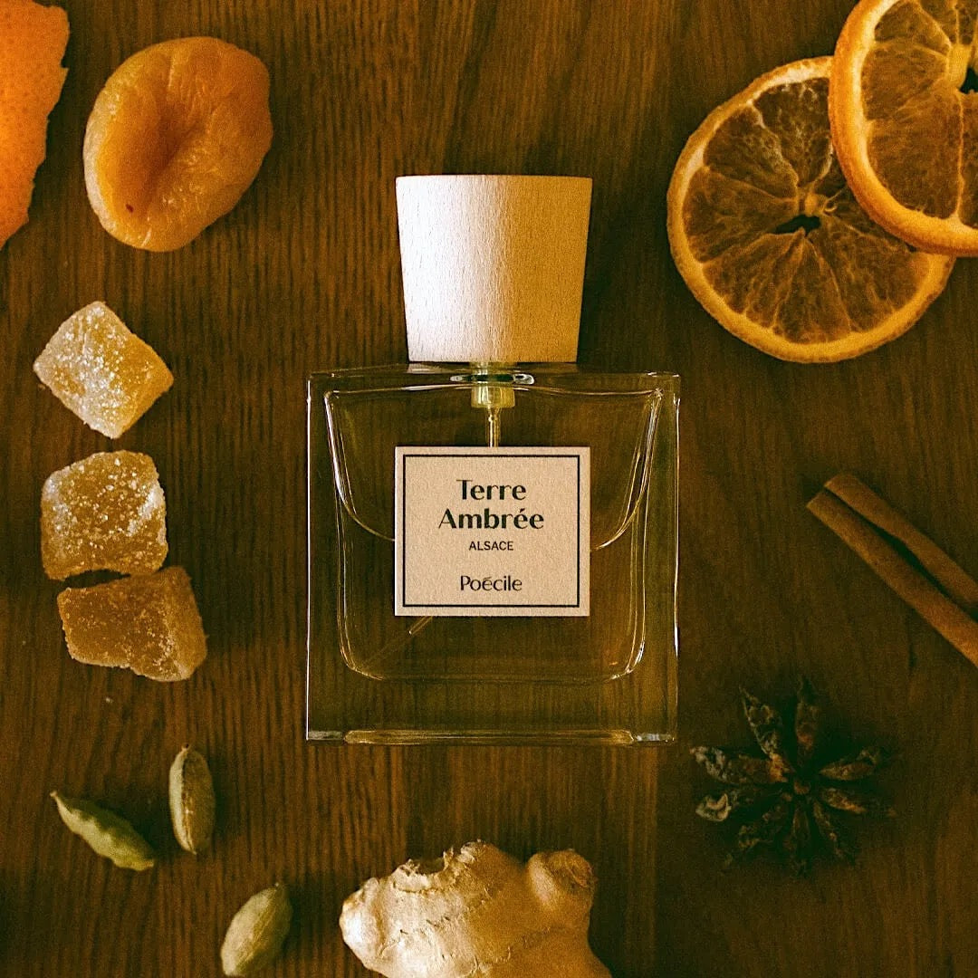 Terre Ambrée - Scentorium
