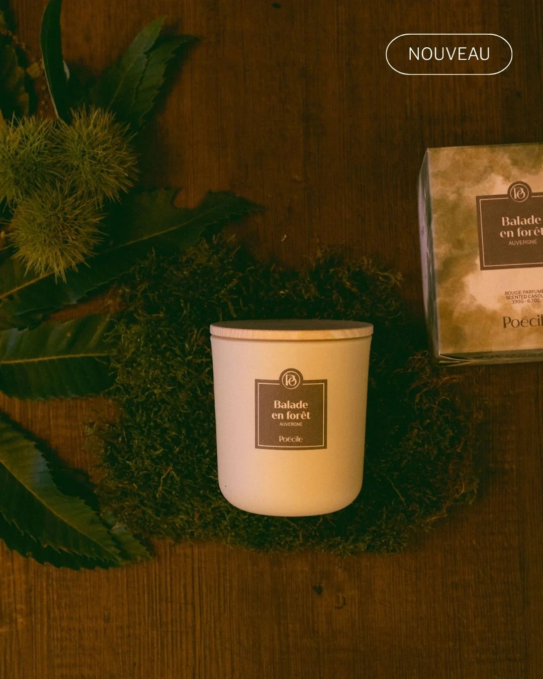 Balade en forêt - Candle