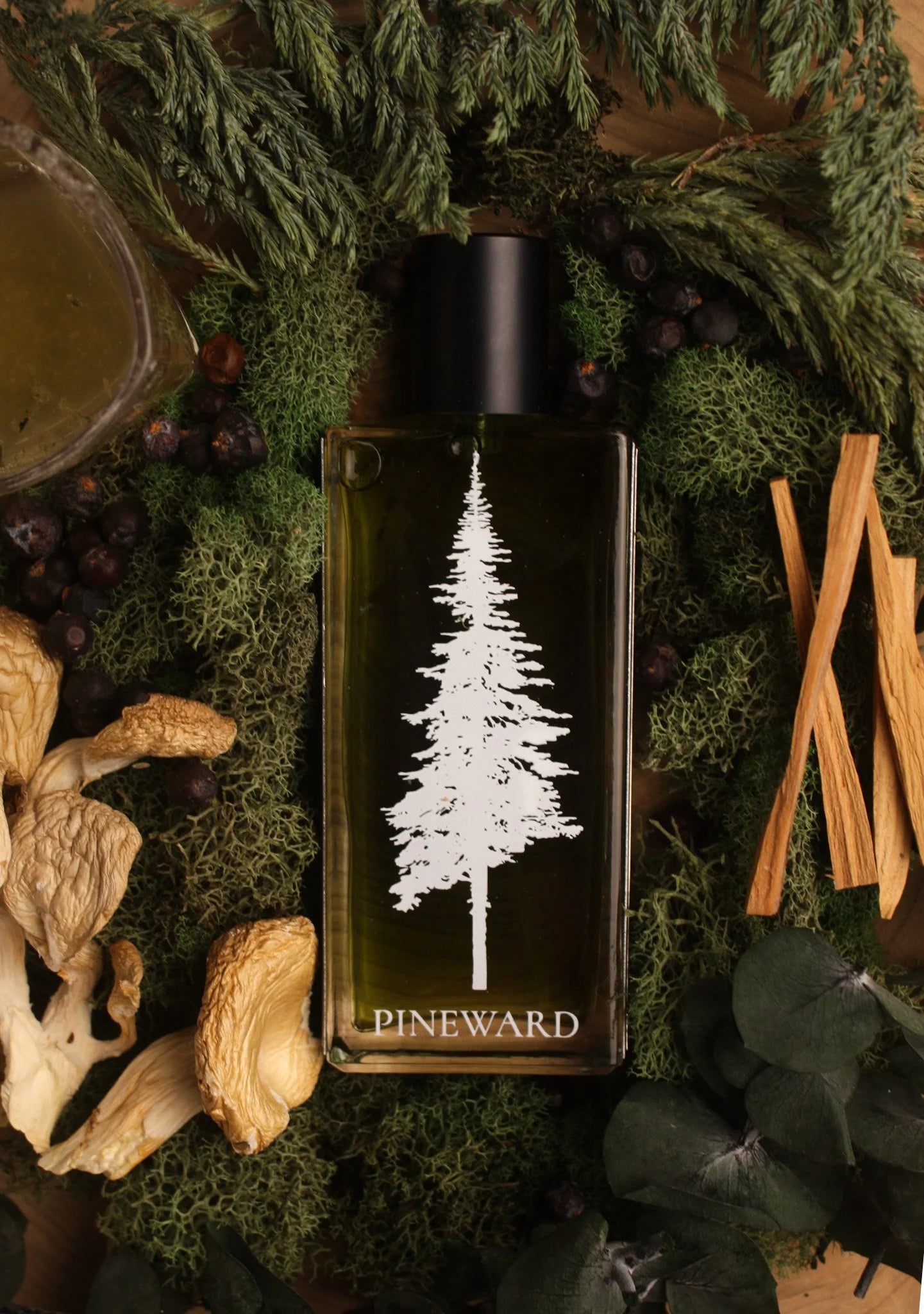 Coastal Veil - Scentorium