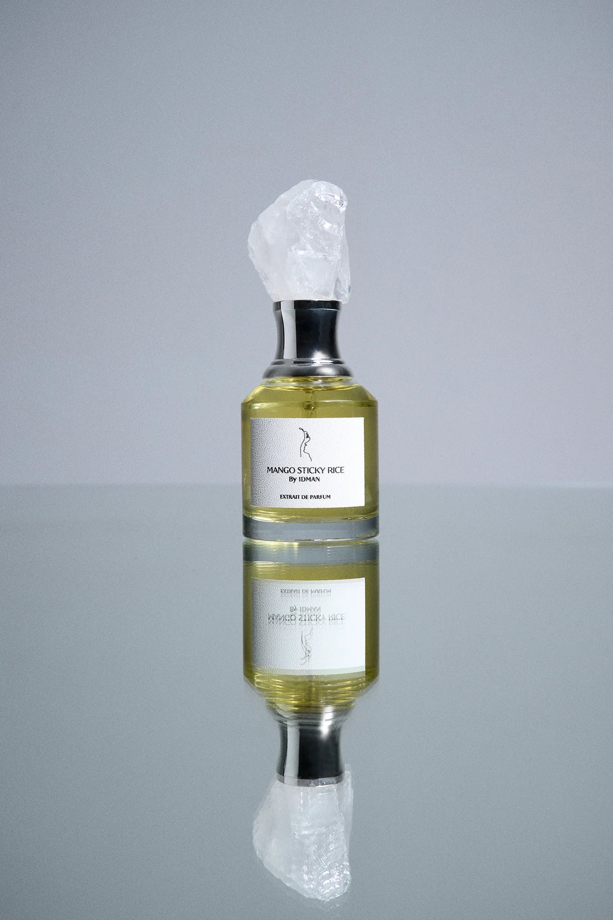 Mango Sticky Rice – IDMAN 50ml