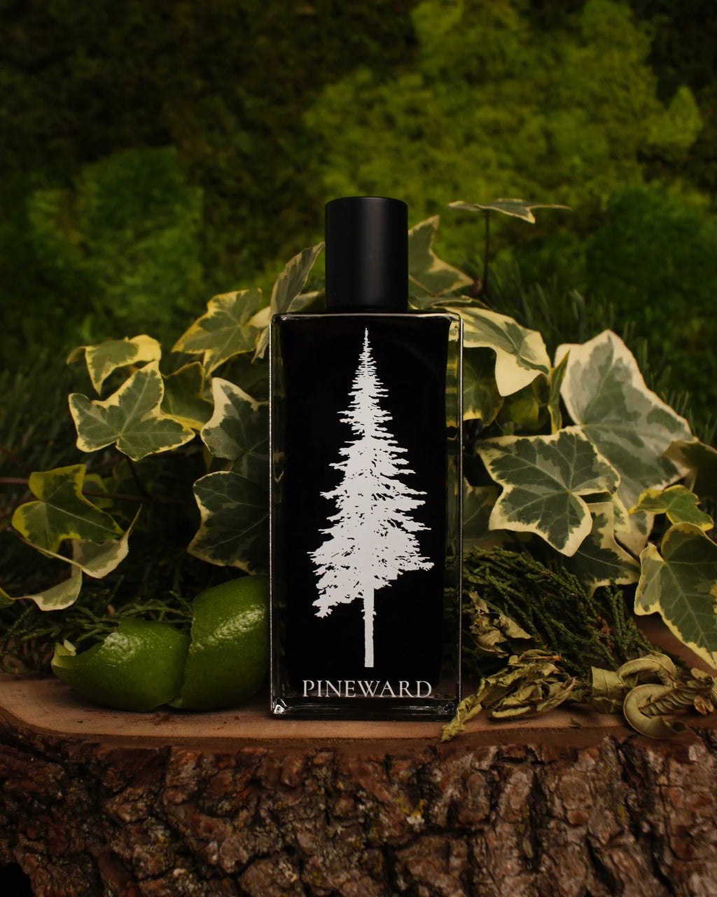 Ivymoss | NEW