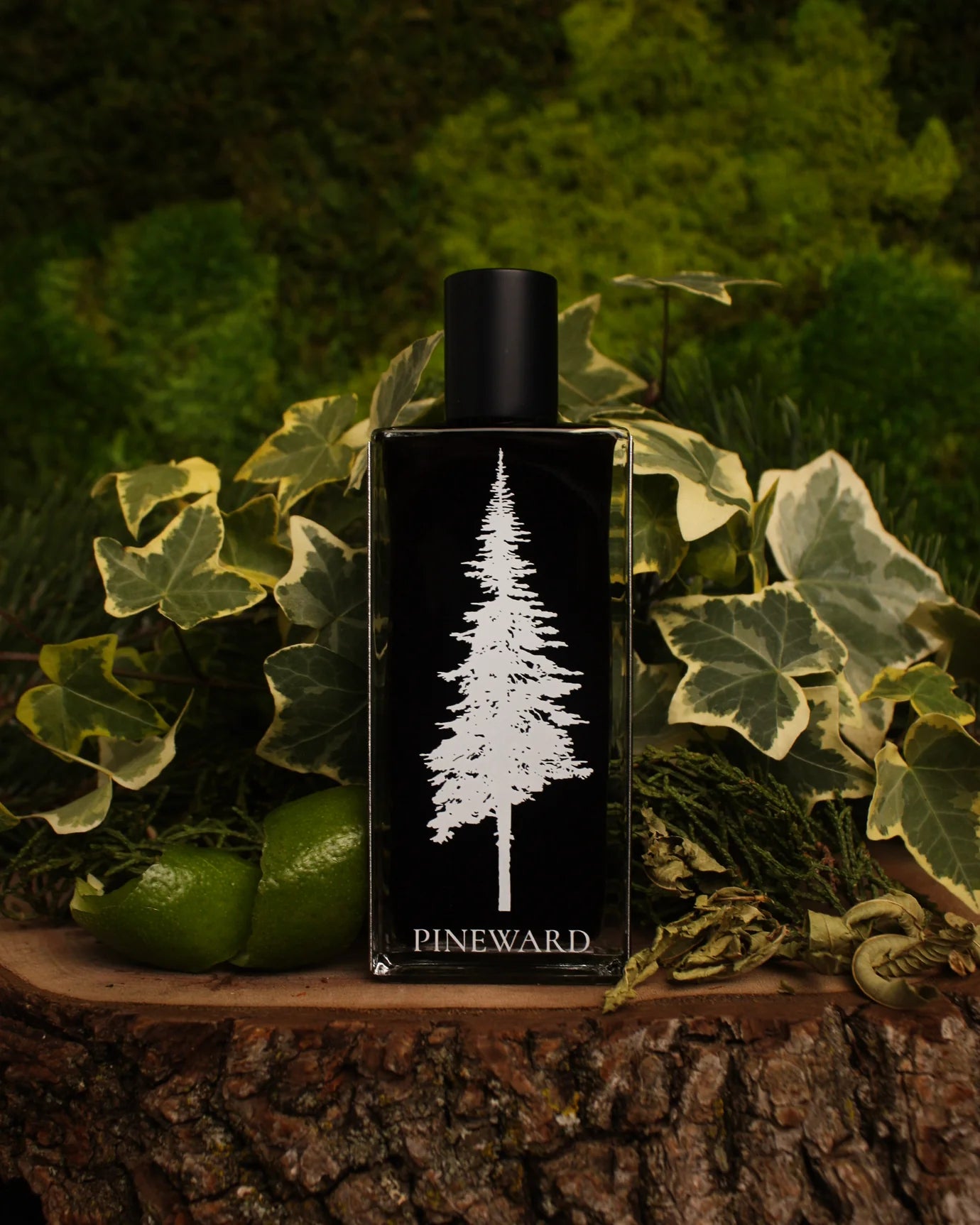Ivymoss | NEW