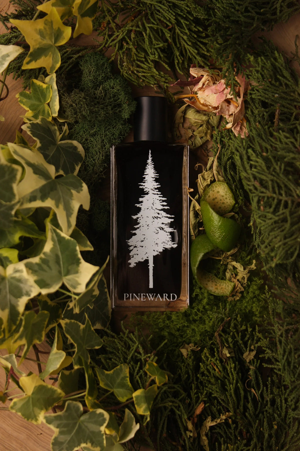 Ivymoss | NEW