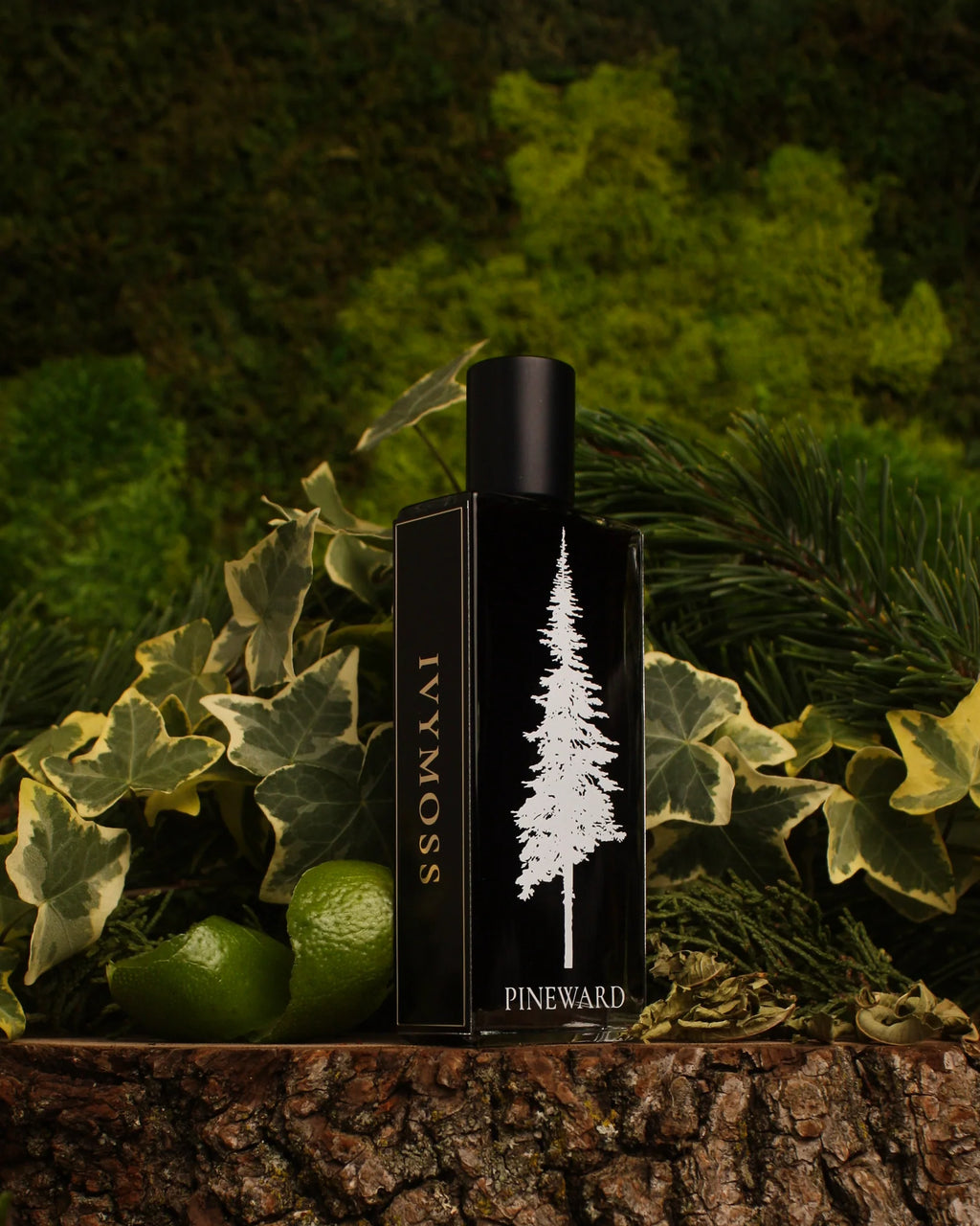 Ivymoss | NEW