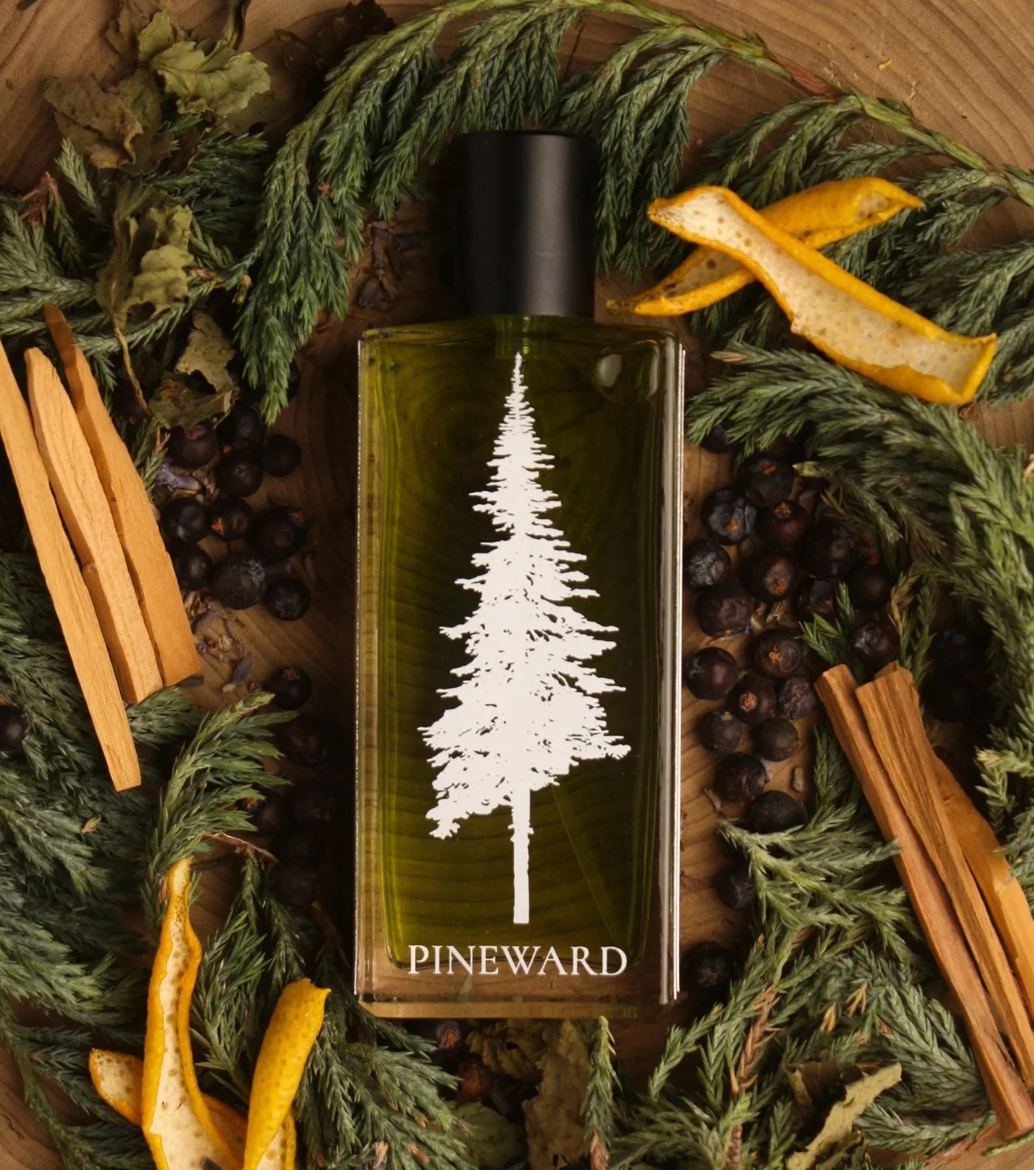 Juniperus - Scentorium