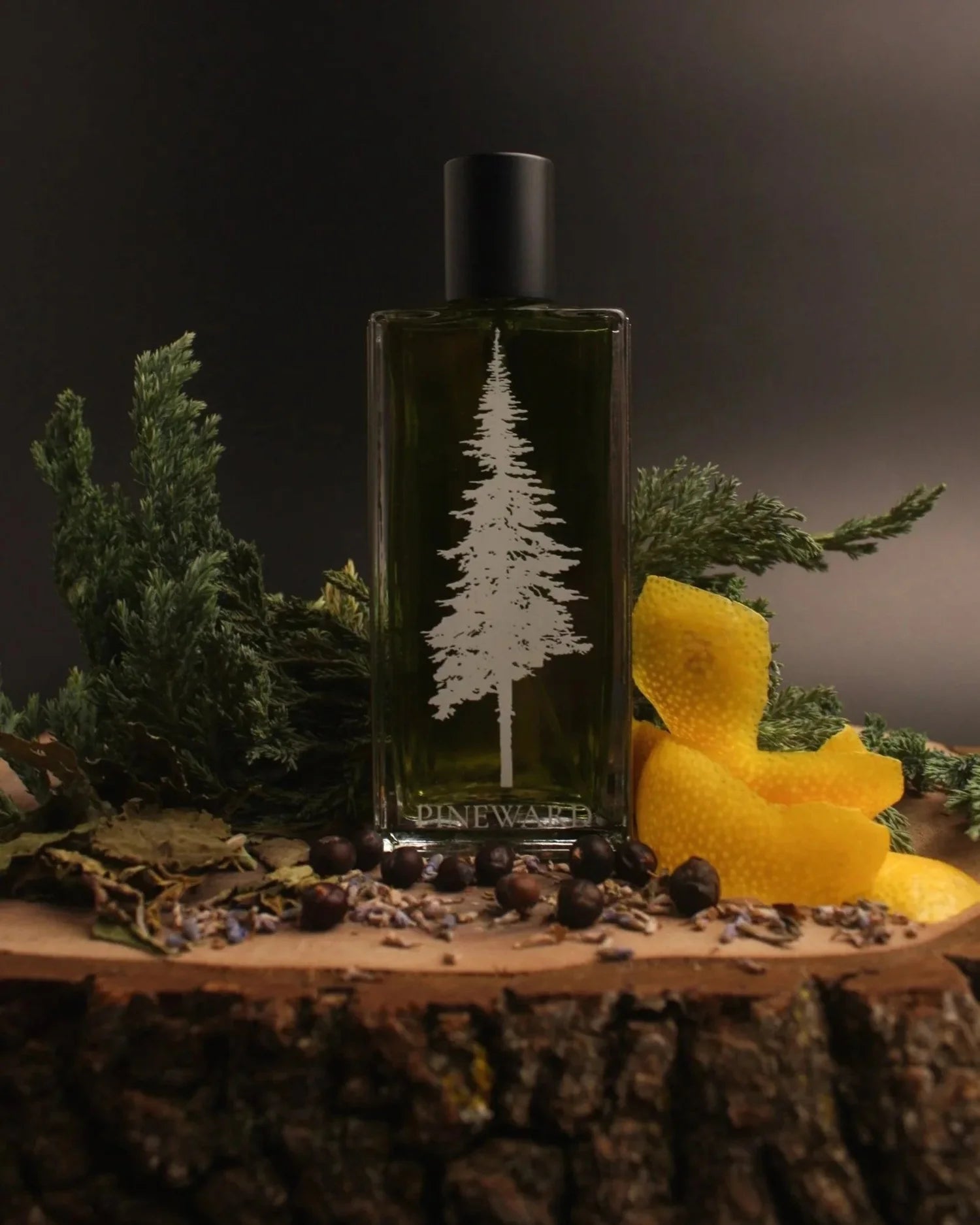 Juniperus - Scentorium