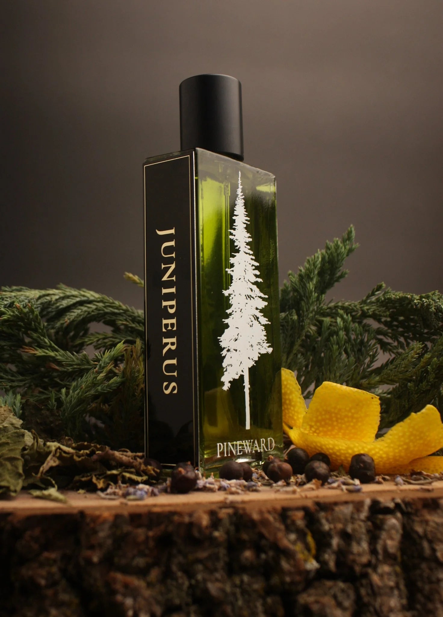 Juniperus - Scentorium