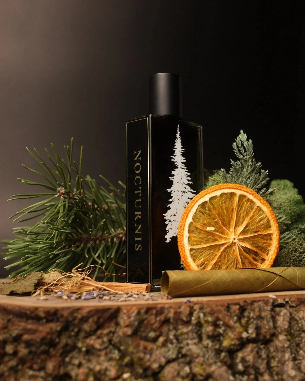 Nocturnis – Pineward Extrait de Parfum 32ml