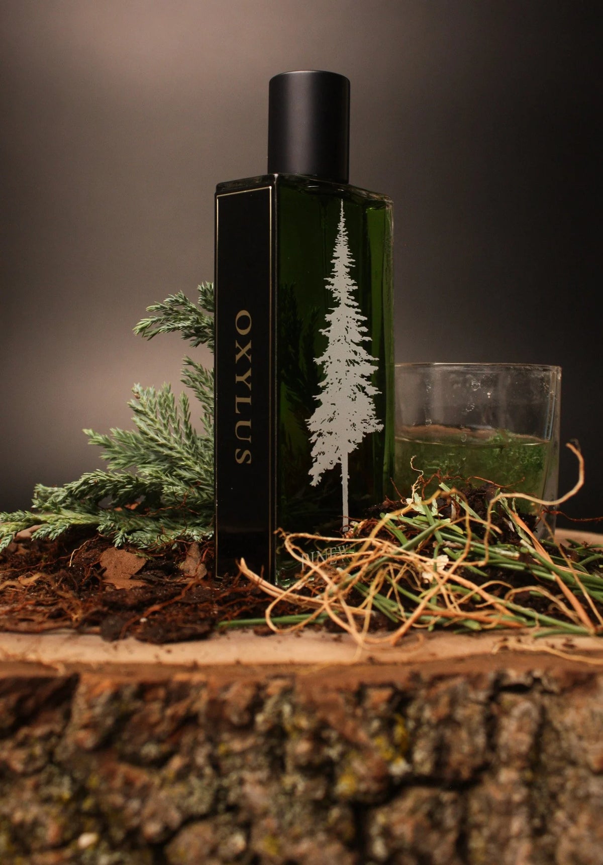 Oxylus – Pineward Extrait de Parfum 32ml