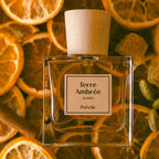 Terre Ambrée - Scentorium