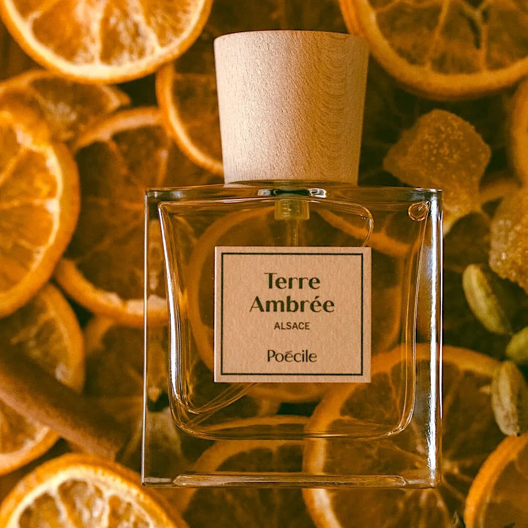 Terre Ambrée - Scentorium