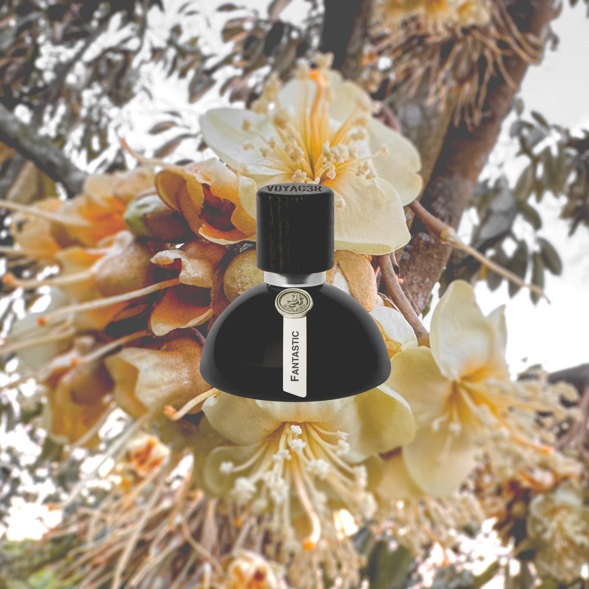 Fantastic – Voyager Eau de Parfum 30ml